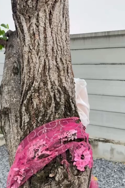 คุณเคยโดนหลอก…จนหมดตัวไหม? ไม่ใช่แค่เรื่องเงิน แต่เป็นการหลอกให้หวังว่าจะสำเร็จ